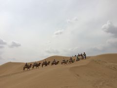 -银肯塔拉沙漠生态旅游景区