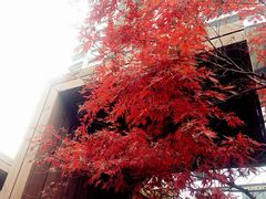 -仁恒辉盛阁酒店公寓