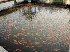 -长春市南湖公园