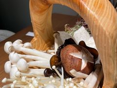 -掂档潮汕牛肉火锅(沈阳万象城店)
