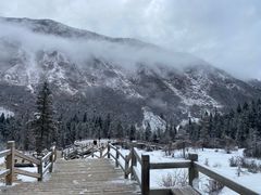 -黄龙山原始森林景区