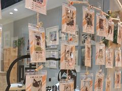 -藏猫猫咖啡主题馆(中央大道店)