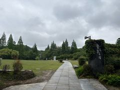 -鲁镇