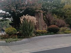 -昆山城市生态森林公园