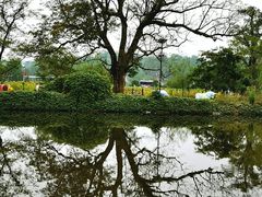 -大兴滨河森林公园