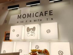 -猫的天空之城概念书店(大学路店)