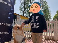 -前小桔亲子创意农场·草莓采摘·露营烧烤