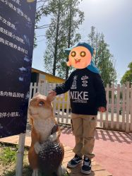 点击看大图 -前小桔亲子创意农场·草莓采摘·露营烧烤