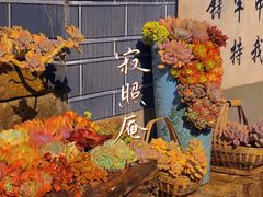 -寂照庵