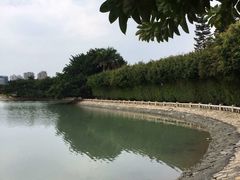 -白鹭洲公园