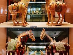 -西安大唐西市博物馆