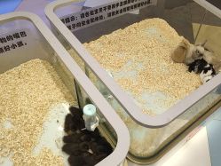 -meland亲子乐园•派对•研学(苏州悠方购物中心店)