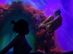 -瑞德姆美人鱼海底演艺主题餐厅(亚龙湾店)