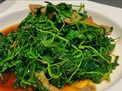 酒香金花菜-松鹤楼(狮山永利广场店)