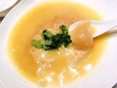 御宝浓汁大排翅-御宝轩(益丰·外滩源店)
