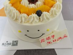 -维尔纳斯·生日蛋糕动物奶油冰淇淋蛋糕(人大店)