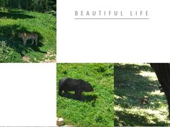 -西安秦岭野生动物园