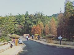 -云溪植物园