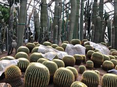 -南山植物园