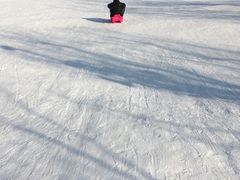 -北京亚布洛尼朝阳公园滑雪场