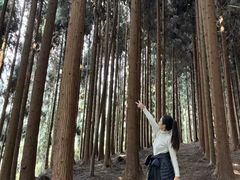 -太阳湾风景区