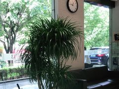 -TSK齿科德申会口腔门诊·联洋诊所