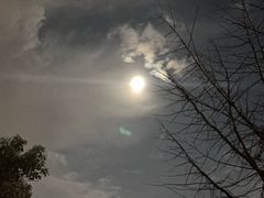 -川香煲(茅台路店)