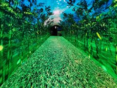 -蓟州溶洞风景区
