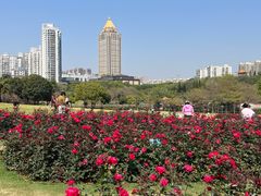 -深圳龙潭公园