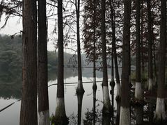 -重庆彩云湖湿地公园