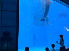 -海合安成都极地海洋公园