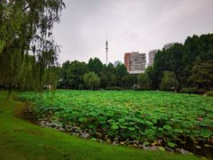 -堤角公园