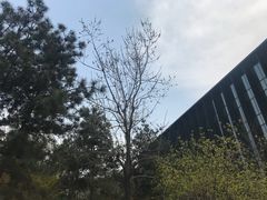 -华为西安研究所v4-食堂1