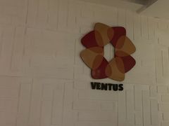 -ventus spa 沙巴亚庇正宗精油按摩会所
