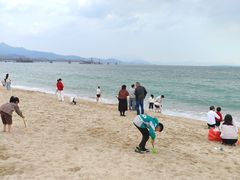 -玫瑰海岸文化旅游度假区