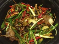茶树菇-一轩饺子馆(丽都店)