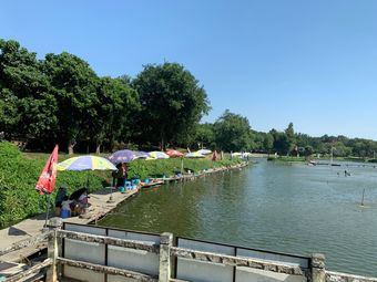 红灯笼草莓园采摘/农家乐|东莞东站19条评价|人均 -隐贤山庄拓展偶乙