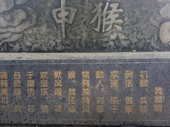 -房湖公园