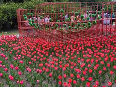 -长春公园(普阳街道)