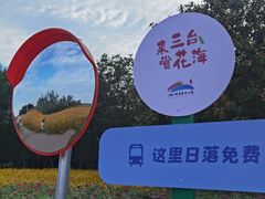 -江苏三台山国家森林公园