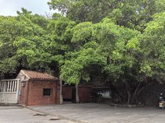 -草庵摩尼教遗址公园