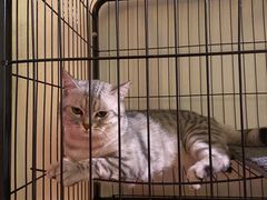 -H立方实景剧情密室(天河旗舰店)