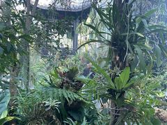 -东莞植物园