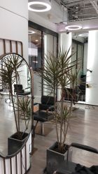 -ON STAR SALON