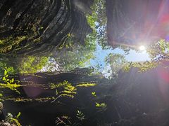 -梭布垭石林景区