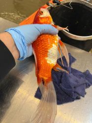 -巡鱼道·室内垂钓·渔具店