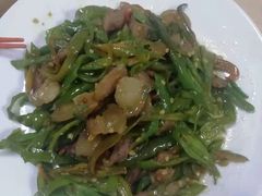 -大班家政月嫂育儿嫂(深圳NO.1店)