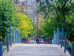 -长白岛森林公园