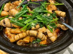 -朱记乳鸽王·非遗石岐乳鸽·全鸽宴(大兴旗舰店)