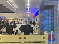 -红星前进面包牛奶公司(君太店)